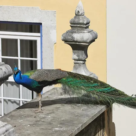Heritage Solar Do Castelo Inn - Alfama Hotell 4*