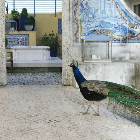 Heritage Solar Do Castelo Inn - Alfama 4*