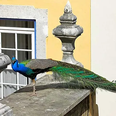 Отель Solar Do Castelo - Heritage Collection - Alfama Лиссабон
