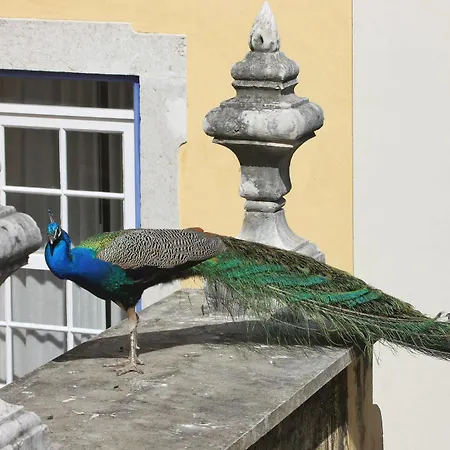 Solar Do Castelo - Heritage Collection - Alfama Szálloda Lisboa