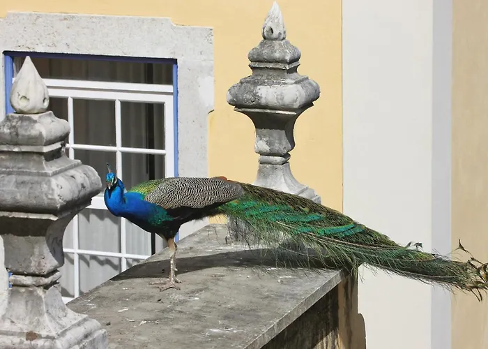 Solar Do Castelo - Heritage Collection - Alfama Hotel 4*